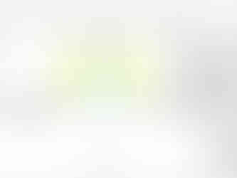 Something Rotten! Raised Deck Shop Drawing
A sample from Wesley Carney's shop drawing for the "Raised Deck".
Photo credits: Wesley Carney