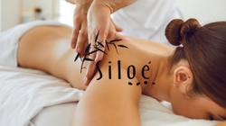 Diseño sin tÃtulo (13).png