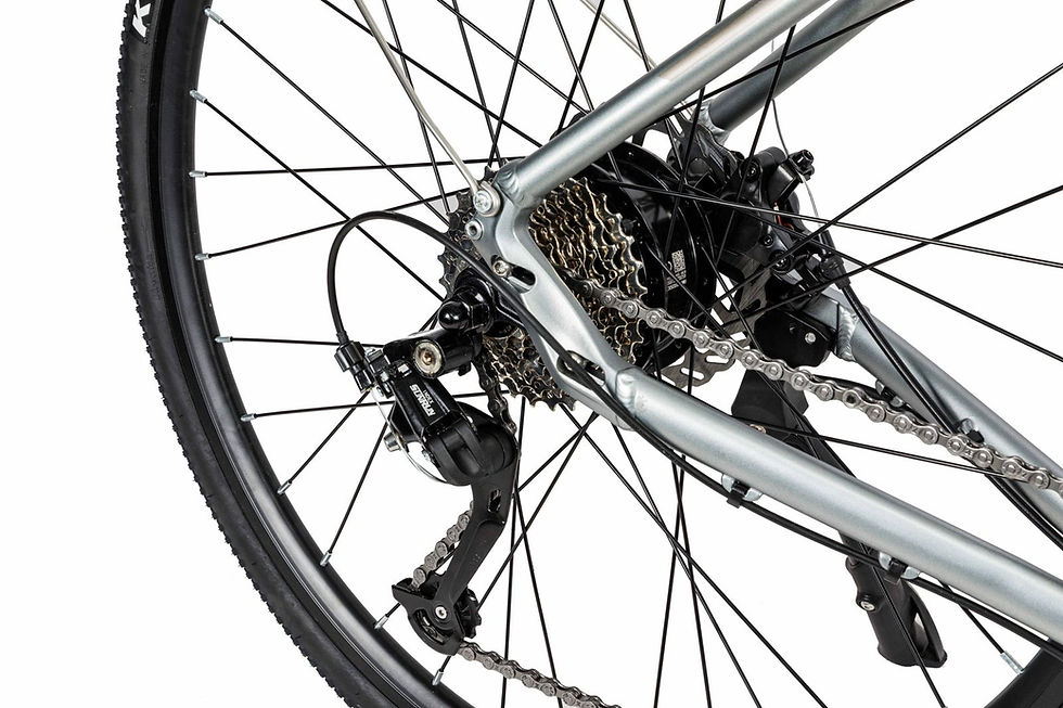 Miniatura: Bicicleta Eléctrica BIMEX E+700 V01 29 45km/h 350w