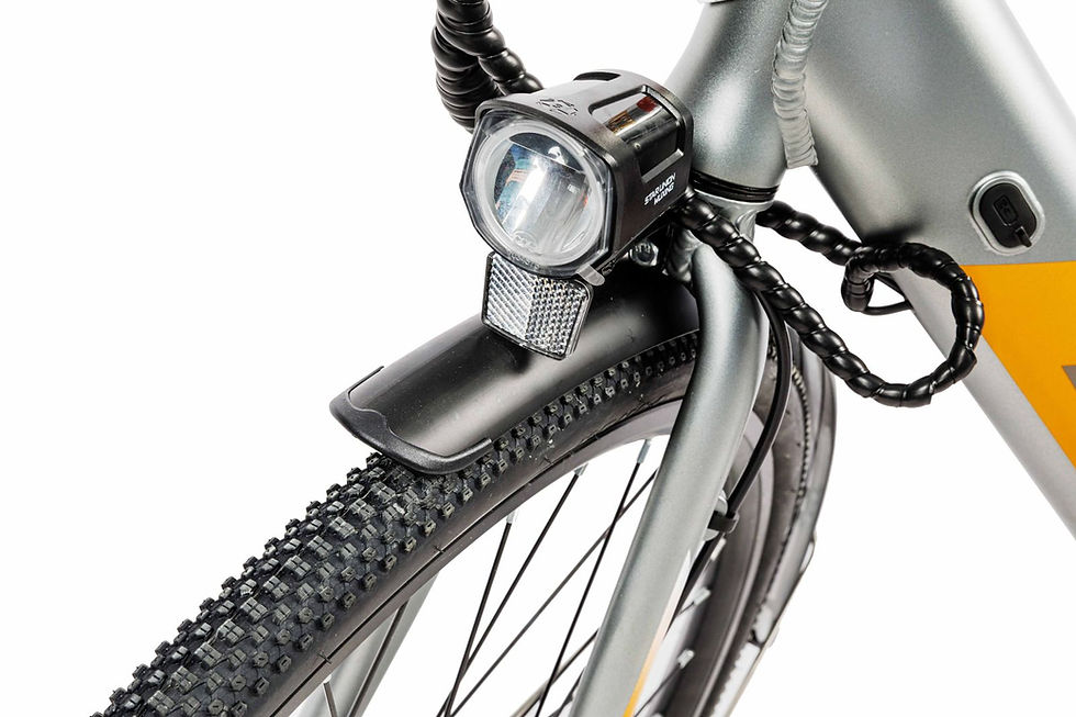 Miniatura: Bicicleta Eléctrica BIMEX E+700 V01 29 45km/h 350w