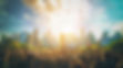 AdobeStock_813060285 (1).jpeg