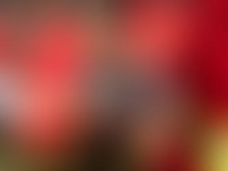 Führungsunterstützung Vegetationsbrandbekämpfung