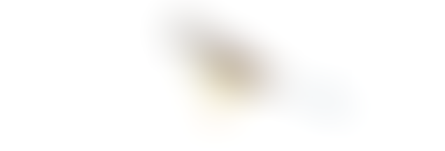 誕生日の文様　4月17日