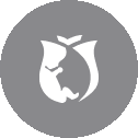 PlatinumRose_icon.gif