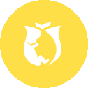 FriendlyRose_icon.gif