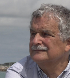 Schermata 2020-07-27 alle 13.20.56.png