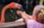 Flamingo Gardens will take part in Galleria Fort Lauderdale’s “Arts from A to Z” cultural showcase on July 25. - Photo courtesy of Flamingo Gardens