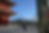 DSC01111.JPG