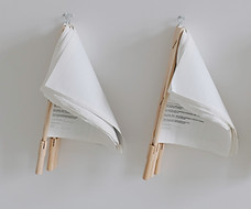Dokument Flags