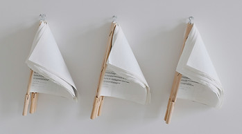 Flags dokument