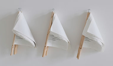 Document Flags