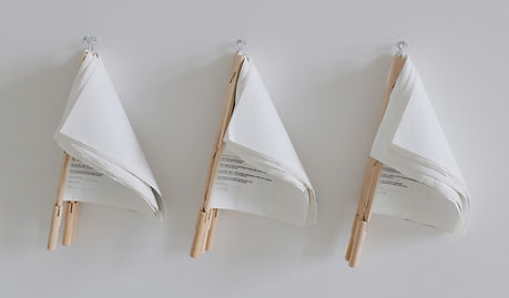 Document Flags