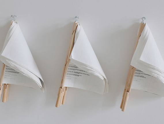 Dokument Flags