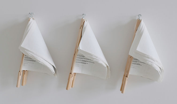 Document Flags
