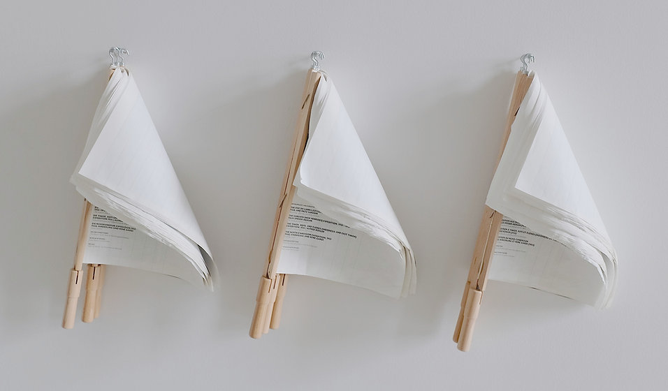 Document Flags