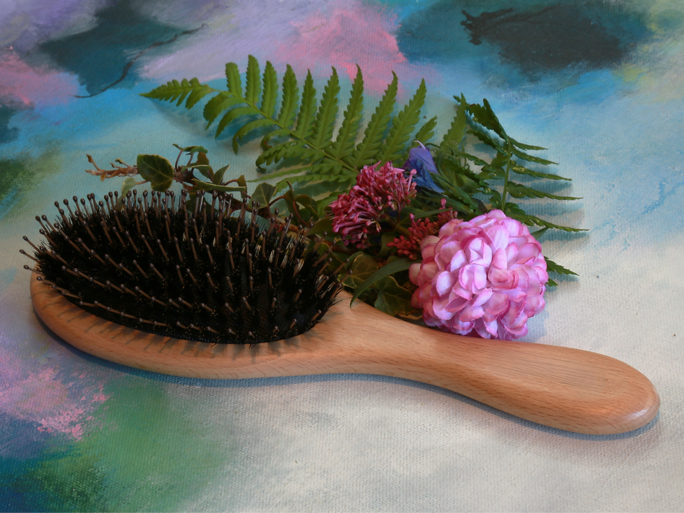 Thumbnail: Eliana Beech Hairbrush