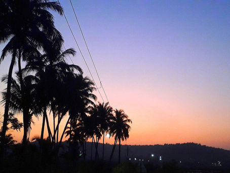 Wild Goa - The unsung view