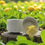 Thumbnail: Vibrant Lemon Verbena