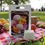Thumbnail: Summer Fruit Sorbet