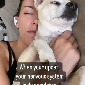 Nervous System Co-Regulation