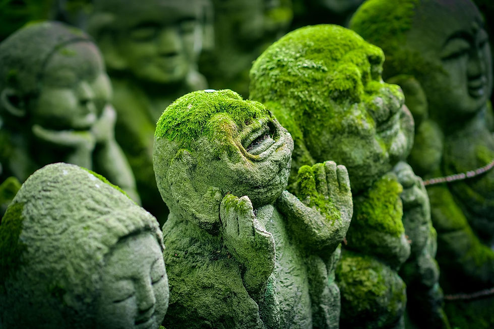 MossFigures.jpeg