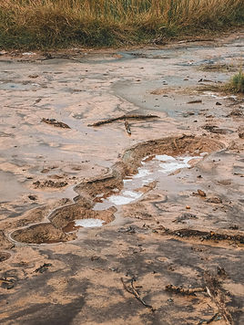 Wet Mud Photo.jpg