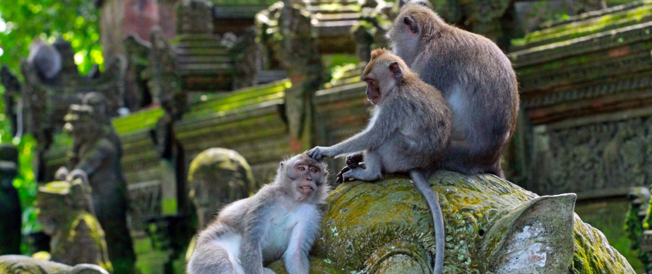 Plancia foto grande programma.jpg