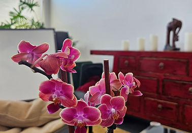 Intimacy Coaching
