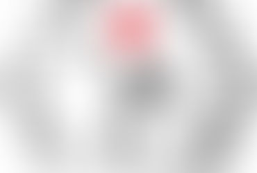 Türkiye Güreş Federasyonu A Milli Takım Serbest Güreş Teknik Kadrosu Açıklandı