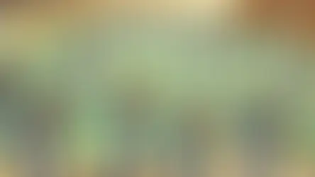 Üniversiteler Arası Türkiye Atıcılık Şampiyonası Sakarya’da Tamamlandı!