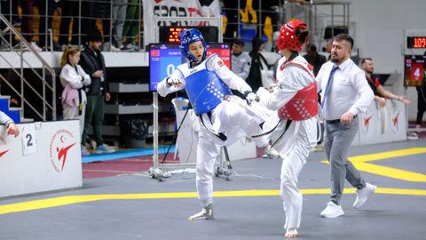 Türkiye Büyükler Taekwondo Şampiyonası Ankara'da Tamamlandı 