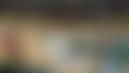 A Kadın Milli Takımımız Kocaeli’de Çalışmalarını Sürdürüyor