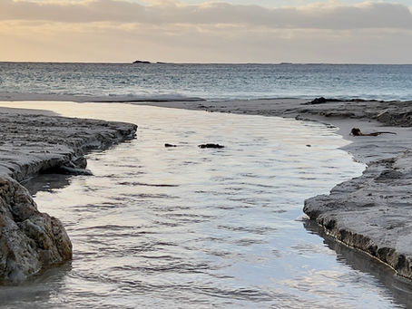 Leuchtfeuer – März: Was brauche ich wirklich?
