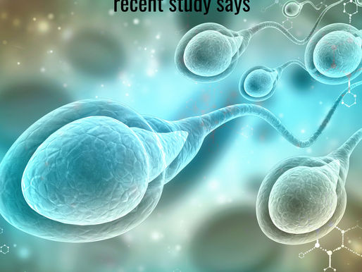 Antioxidants do not improve chances of getting pregnant or sperm count – research says