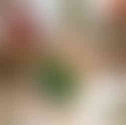 Peppermint mocha with candy canes