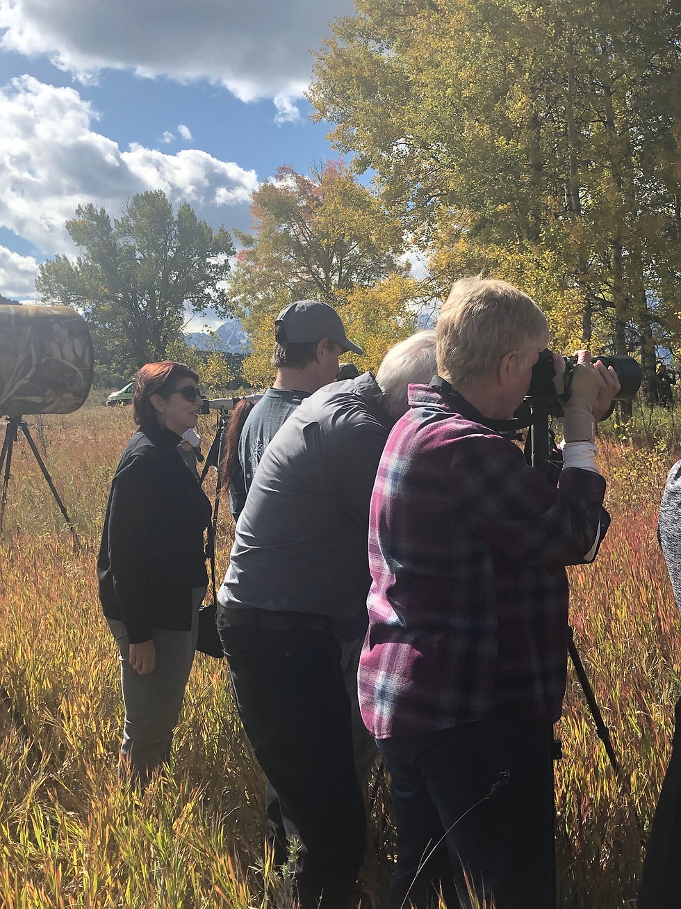 Fall Grand Teton Photo Workshop