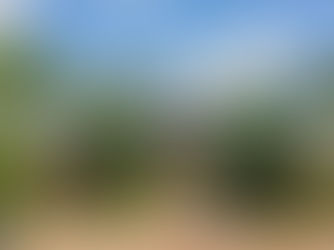 Is Composite Roofing Right for You?