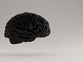 iStock-1159440350_edited.jpg