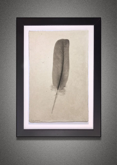 Framed drawing of a feather; Custom Framing By Veterans
