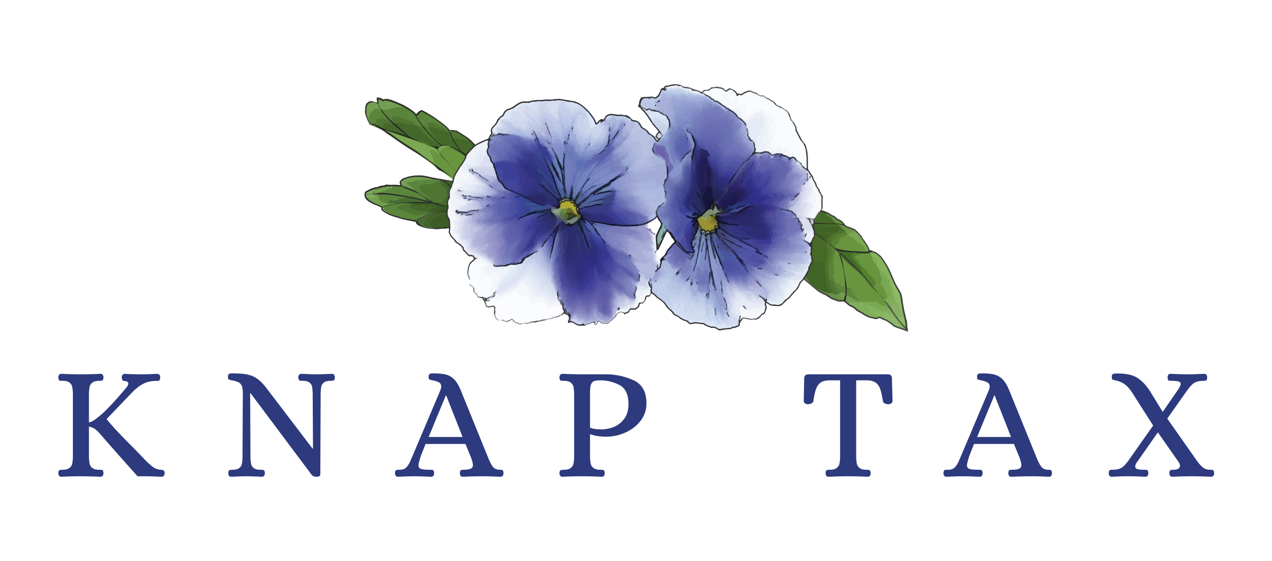 Suzanne Knap Tax Logo dark