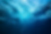 AdobeStock_117700241.jpeg