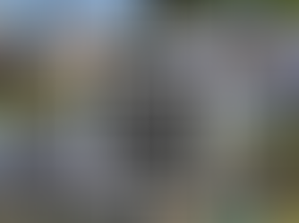 Shake Off the Old: A Closer Look at Synthetic Roofing Materials