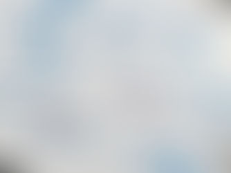 Os números não são frios. São honestos.