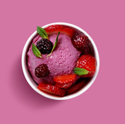 Forest Fruit Ice Cream