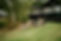 CLG05833_edited.jpg