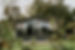 CLG05825.jpg