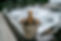CLG05781_edited.jpg