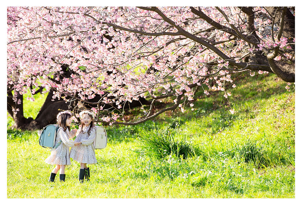 桜の咲く土手での写真