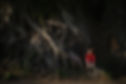 R0000480.JPG