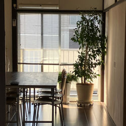 231020095015-6531cec7b98bc_l